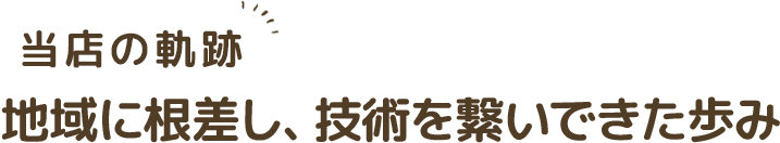JUKI HZL-J50